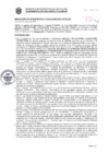 Vista preliminar de documento Resolución Sub Gerencial N° 009491-03-2020-MPT