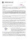 Vista preliminar de documento Resolución Sub Gerencial N° 02-01-2020-MPT