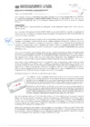 Vista preliminar de documento Resolución Sub Gerencial N° 067-02-2020-MPT