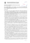 Vista preliminar de documento Resolución Sub Gerencial N° 007172-10-2019-MPT