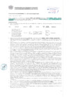 Vista preliminar de documento Resolución Sub Gerencial N° 3071-06-2019-MPT