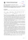 Vista preliminar de documento Resolución Sub Gerencial N° 7451-10-2019-MPT