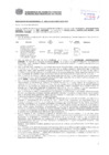 Vista preliminar de documento Resolución Sub Gerencial N° 4053-10-2019-MPT