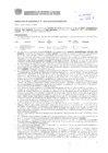 Vista preliminar de documento Resolución Sub Gerencial N° 4043-10-2019-MPT