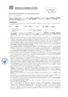 Vista preliminar de documento Resolución Sub Gerencial N° 3578-06-2019-MPT