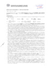Vista preliminar de documento Resolución Sub Gerencial N° 2444-05-2019-MPT