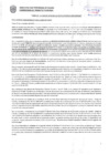 Vista preliminar de documento Resolución Sub Gerencial N° 4101-11-2020-MPT