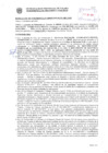 Vista preliminar de documento Resolución Sub Gerencial N° 9838-02-2020-MPT