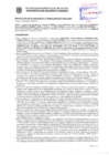 Vista preliminar de documento Resolución Sub Gerencial N° 8855-10-2019-MPT