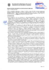 Vista preliminar de documento Resolución Sub Gerencial N° 7729-02-2020-MPT