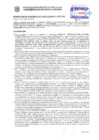 Vista preliminar de documento Resolución Sub Gerencial N° 7313-10-2019-MPT