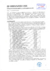 Vista preliminar de documento Resolución Sub Gerencial N° 4074-10-2019-MPT