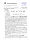 Vista preliminar de documento Resolución Sub Gerencial N° 4047-10-2019-MPT