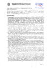 Vista preliminar de documento Resolución Sub Gerencial N° 20659-10-2019-MPT