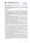 Vista preliminar de documento Resolución Sub Gerencial N° 20903-09-2019-MPT