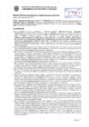 Vista preliminar de documento Resolución Sub Gerencial N° 20490-09-2019-MPT