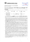 Vista preliminar de documento Resolución Sub Gerencial N° 4051-10-2019-MPT