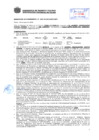 Vista preliminar de documento Resolución Sub Gerencial N° 2457-05-2019-MPT