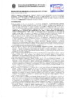 Vista preliminar de documento Resolución Sub Gerencial N° 16732-11-2019-MPT