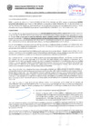 Vista preliminar de documento Resolución Sub Gerencial N° 4162-11-2019-MPT
