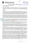 Vista preliminar de documento Resolución Sub Gerencial N° 4209-11-2019-MPT