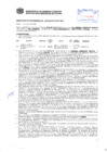 Vista preliminar de documento Resolución Sub Gerencial N° 1757-05-2019-MPT