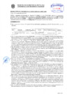 Vista preliminar de documento Resolución Sub Gerencial N° 21813-09-2019-MPT