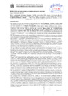 Vista preliminar de documento Resolución Sub Gerencial N° 8702-10-2019-MPT