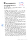 Vista preliminar de documento Resolución Sub Gerencial N° 3924-09-2019-MPT