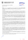 Vista preliminar de documento Resolución Sub Gerencial N° 2921-05-2019-MPT