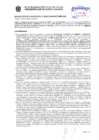 Vista preliminar de documento Resolución Sub Gerencial N° 16677-11-2019-MPT
