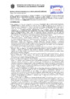 Vista preliminar de documento Resolución Sub Gerencial N° 9151-11-2019-MPT