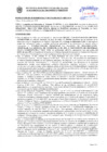 Vista preliminar de documento Resolución Sub Gerencial N° 7176-10-2019-MPT