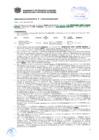 Vista preliminar de documento Resolución Sub Gerencial N° 1448-04-2019-MPT