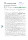 Vista preliminar de documento Resolución Sub Gerencial N° 3052-06-2019-MPT