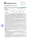 Vista preliminar de documento Resolución Sub Gerencial N° 2454-05-2019-MPT