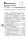 Vista preliminar de documento Resolución Sub Gerencial N° 2833-05-2019-MPT