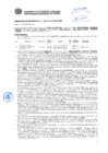 Vista preliminar de documento Resolución Sub Gerencial N° 3060-06-2019-MPT