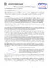 Vista preliminar de documento Resolución Sub Gerencial N° 4160-11-2019-MPT