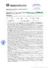 Vista preliminar de documento Resolución Sub Gerencial N° 3632-07-2019-MPT