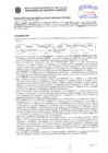 Vista preliminar de documento Resolución Sub Gerencial N° 7470-11-2019-MPT