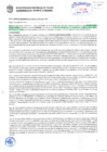 Vista preliminar de documento Resolución Sub Gerencial N° 3568-07-2019-MPT