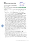Vista preliminar de documento Resolución Sub Gerencial N° 3067-06-2019-MPT