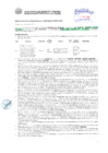 Vista preliminar de documento Resolución Sub Gerencial N° 3070-06-2019-MPT