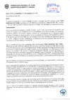 Vista preliminar de documento Resolución Sub Gerencial N° 1207-04-2019-MPT