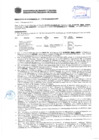 Vista preliminar de documento Resolución Sub Gerencial N° 1729-05-2019-MPT