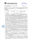 Vista preliminar de documento Resolución Sub Gerencial N° 2863-05-2019-MPT