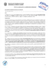 Vista preliminar de documento Resolución Sub Gerencial N° 3101-06-2019-MPT