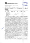 Vista preliminar de documento Resolución Sub Gerencial N° 3596-07-2019-MPT