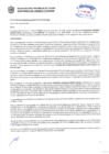 Vista preliminar de documento Resolución Sub Gerencial N° 2933-05-2019-MPT